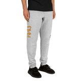 Asylum Ragdoll Joggers (unisex)